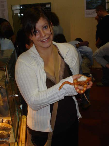 *Couleuvre du Mexique*